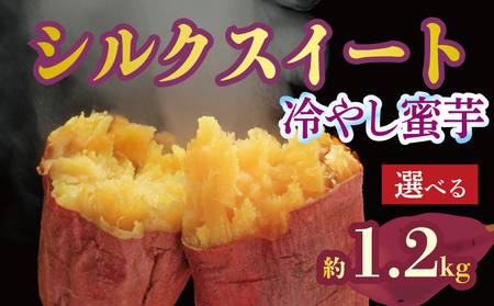 焼き芋 蜜芋 冷蔵 シルクスイート 約1.2kg 配送:11月下旬〜