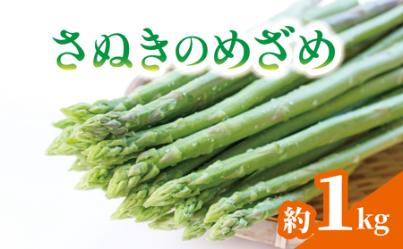 アスパラガス さぬきのめざめ 約1kg 配送:3月上旬〜