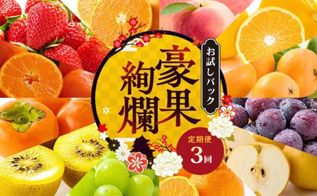 [定期便3回] お試しパック フルーツ 果物 定期便