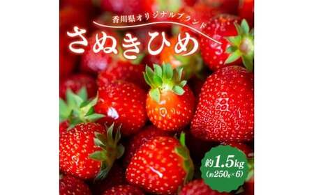 2027年発送 いちご さぬきひめ 約1.5kg 苺いちご