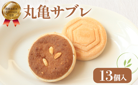 �T�u�� �Œ� �ۋT�T�u�� 13��