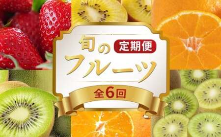 旬のフルーツ定期便 6回 フルーツ 定期便