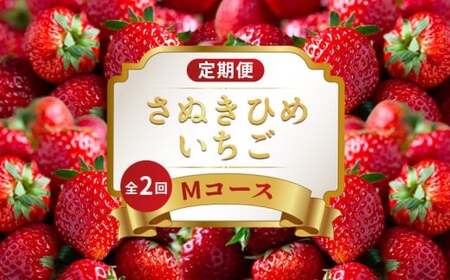 いちごの定期便 2回 Mコース フルーツ 定期便 いちご