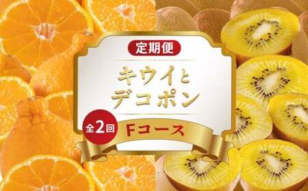旬のフルーツ定期便 2回 Fコース フルーツ 定期便