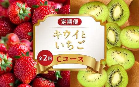 旬のフルーツ定期便 2回 Cコース フルーツ 定期便