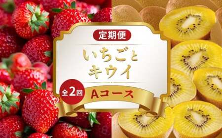 旬のフルーツ定期便 2回 Aコース フルーツ 定期便