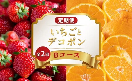 旬のフルーツ定期便 2回 Bコース フルーツ 定期便