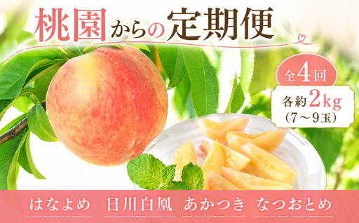 桃園からの定期便 全4回 各約2kg (7〜9玉) はなよめ 日川白凰 あかつき なつおとめ