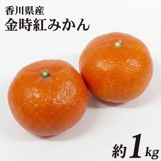 [11月中旬~12月下旬の間で順次発送予定]金時紅みかん 約1kg