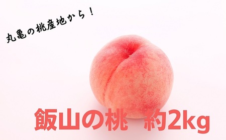 [先行予約]桃 約 2kg もも モモ 白桃 ピーチ 果物 くだもの フルーツ 果実 飯山の桃 旬 新鮮 箱入り 冷蔵 贈答 ギフト プレゼント お中元 香川県丸亀市