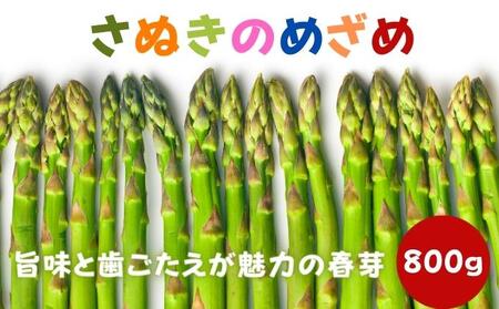 [早出し]さぬきのめざめ春芽(アスパラガス)約800g[1月下旬発送開始]