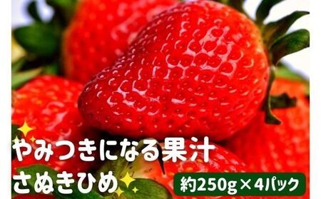 丸亀産 さぬきひめ苺 4パック[11月下旬発送開始]