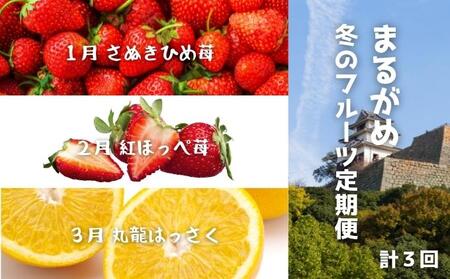 [冬の定期便3回]丸亀自慢のフルーツ 苺 はっさく フルｰツフルｰツフルｰツフルｰツ 定期便
