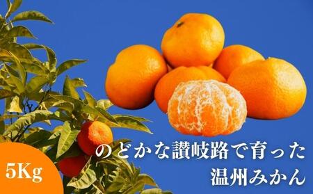 のどかな讃岐路で育った温州みかん 約5kg[11月中旬以降発送開始]