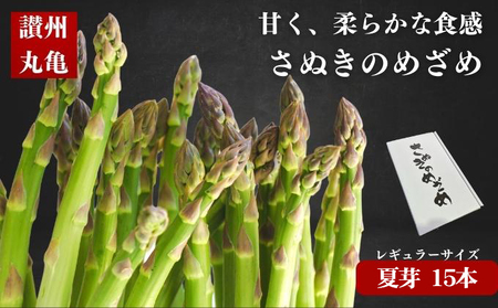[6月上旬〜9月上旬発送] アスパラガス さぬきのめざめ 1.5kg 夏芽 香川県 丸亀市