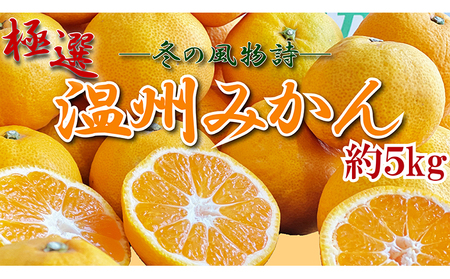 極撰!温州みかん 約5kg[11月以降発送開始]