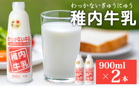 t 900ml × 2{yzsnFEꌧz
