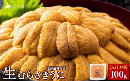 [うにの名産地稚内市]最北端の生むらさきうに(100g×1)