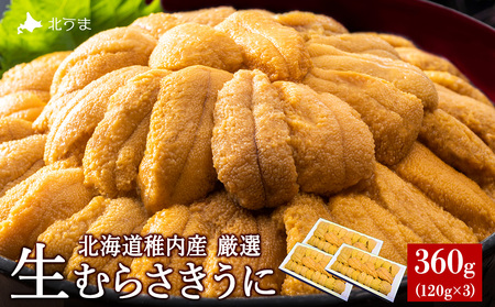 ys\zyIPREMIUMzEj͍z̖Ynɂ!ނ炳360g