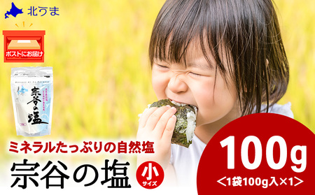 宗谷の塩100g×1袋