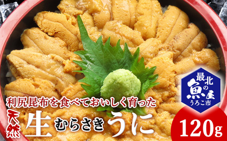 利尻昆布を食べておいしく育った「生むらさきうに」120g