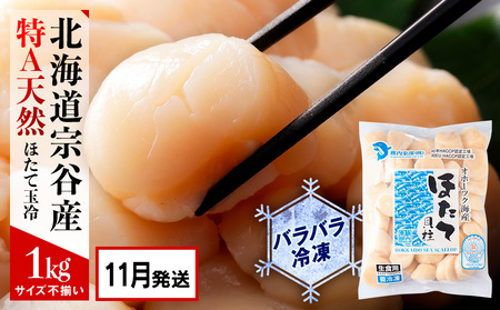 【2025年11月発送】宗谷産 天然生食用 ほたて貝柱 1kg（特A無選別）