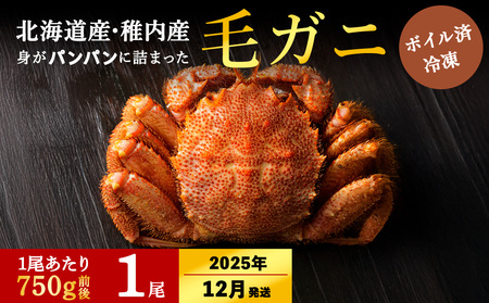 [2025年12/22-26発送][ボイル済み急速冷凍]身がぎっしりと詰まった毛ガニ750g前後×1尾