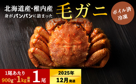 [2025年12/22-26発送][ボイル済み急速冷凍]身がパンパンに詰まった稚内産毛ガニ900g〜1kg(超大サイズ)×1尾