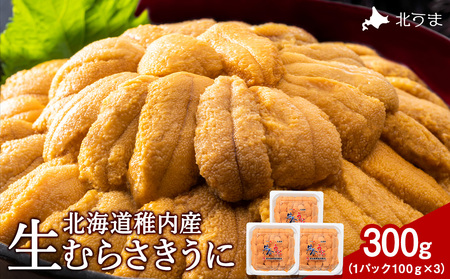 ys\zyɂ̖YntszŖk[̐ނ炳(100gpbN×3)  Ej TLEj