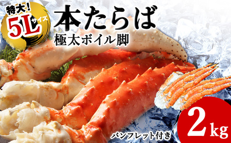 �y1��1kg�̋ɑ�5L�T�C�Y�z�{����ΊI�{�C���r2kg