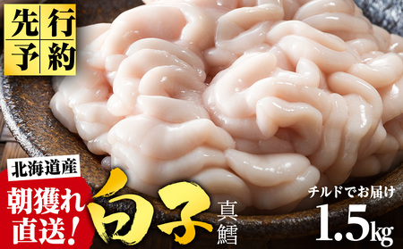 �y2026�N1���ȍ~�����z�y��s�\��z�{�̎����Ƀ`���h�ł��͂�!�k�C���Y���q(�^�L) 1.5kg �^���� ���� �^�` �^�_�`