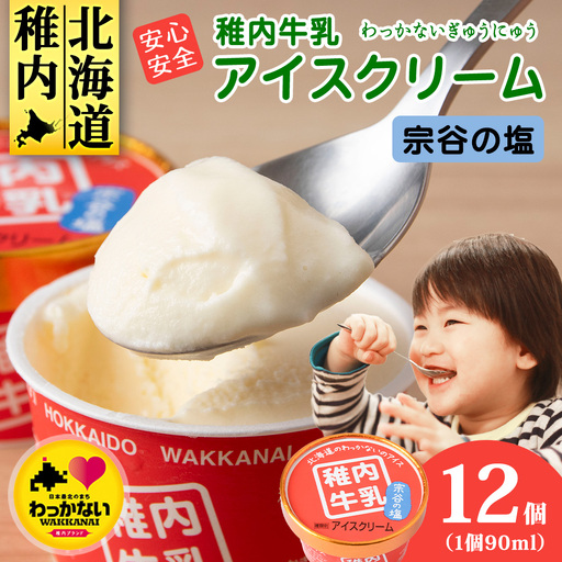 稚内牛乳 アイスクリーム 宗谷の塩　12個セット（各90ml）