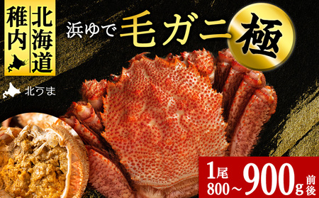 [稚内産・極] 浜ゆで毛ガニ(堅蟹) 800g〜900g×1尾KU139sku
