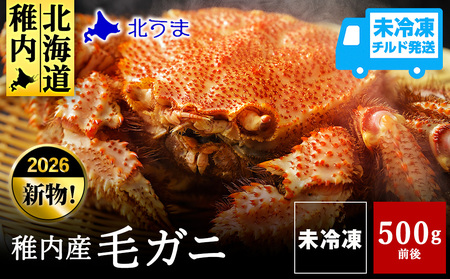[未冷凍、冷蔵発送! 2026年新物]極・稚内産毛ガニ500g〜600g 浜茹でチルド