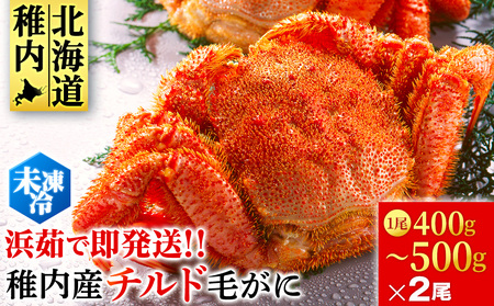[未冷凍でお届け!]稚内産チルド毛がに 400〜500g×2尾