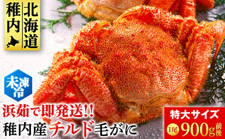 [未冷凍でお届け!]稚内産チルド毛がに 900g前後×1尾