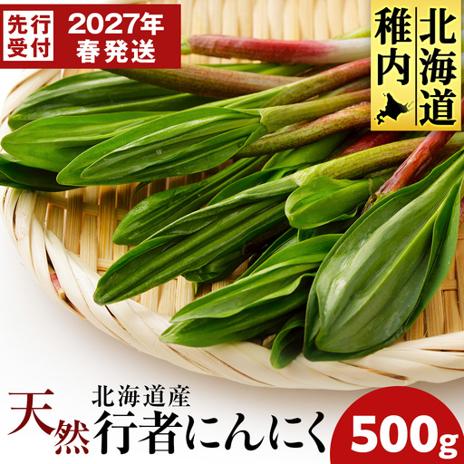 【2027年発送予約】天然行者にんにく 500g