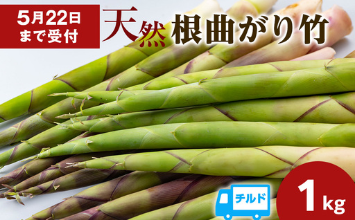 天然 根曲がり竹 1kg 根曲竹 ネマガリタケ 姫竹 笹竹