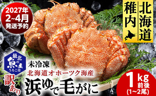 未冷凍 浜ゆで毛ガニ 訳あり品(キズ・足欠等) 1kg前後(1-2尾入)