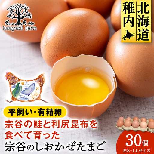 宗谷のしおかぜたまご30個入(10個入×3ケース)