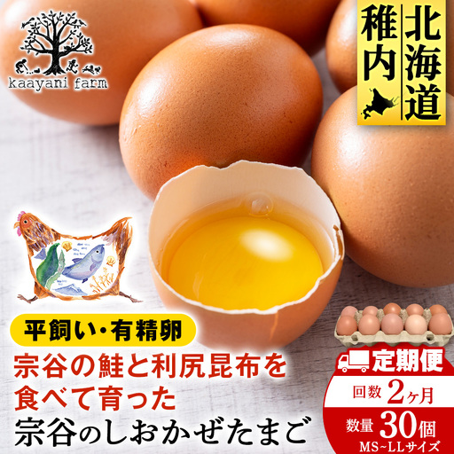 [2カ月定期便]宗谷のしおかぜたまご30個入