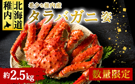 稚内産 特大ボイルたらばがに姿 約2.5kg[配送不可地域:離島]