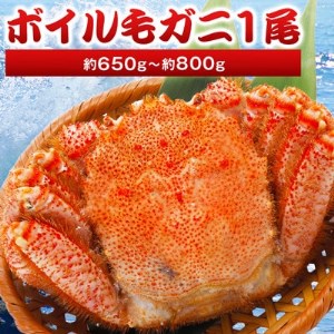 【2024製造】ボイル毛ガニ1尾650g～800g【配送不可地域：離島】【1381361】