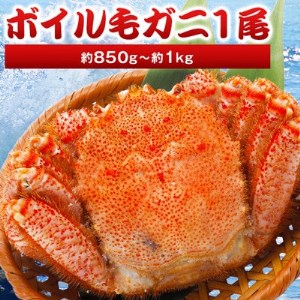 【2024製造】ボイル毛ガニ1尾850g～1k【配送不可地域：離島】【1381371】