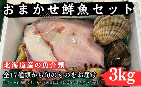 [北海道]漁港直送!季節のおまかせ鮮魚 3kg[厚真町][鵡川漁業協同組合] 鮮魚 鮮魚 鮮魚 鮮魚 鮮魚 鮮魚 [AXAL002]