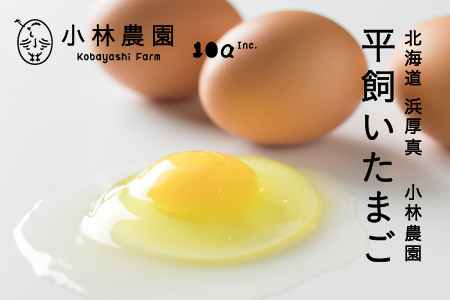 【1016】　無投薬･自然養鶏の平飼い自然卵＜100個セット＞