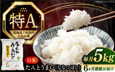 [全6回定期便][新米 令和7年産]ななつぼし [たんとう米] 5kg 米 定期便 6ヵ月 半年 毎月 定期便 6ヵ月 半年 毎月 お米 白米 ご飯 ななつぼし 北海道 [AXAB077]