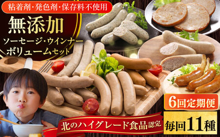 yS6ցzy܁EF܁Eۑsgpz q \[Z[W11Zbg Y [AXBA028]