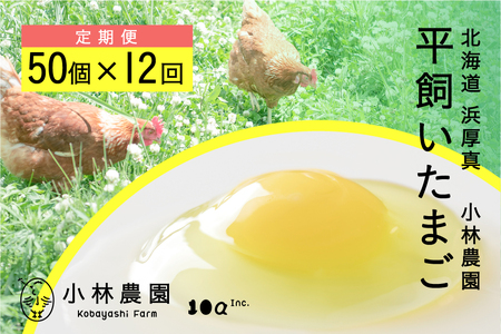 [12ヵ月定期便]平飼い有精卵 50個 計600個 12回[常温便] たまご 卵 鶏卵 玉子 生卵 平飼い 定期便 北海道 [AXAN132]