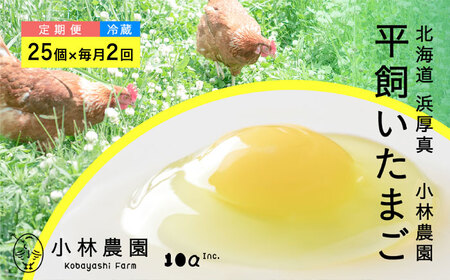 [月2回・1ヵ月定期便]平飼い有精卵 25個 計50個[冷蔵便] 卵 卵 卵 卵 卵 卵 卵 [AXAN024]